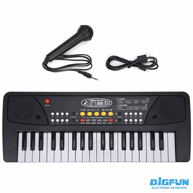 ارگ آموزشی بیگ فان میکروفون‌دار مدل BIGFUN BF-430A2