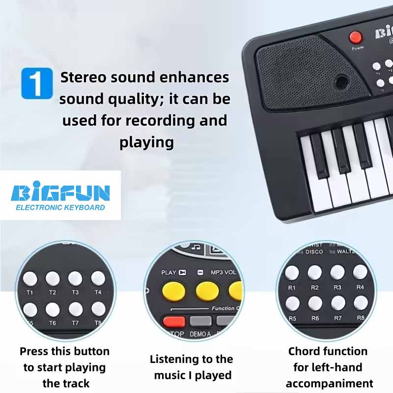 ارگ آموزشی بیگ فان میکروفون‌دار مدل BIGFUN BF-430A2