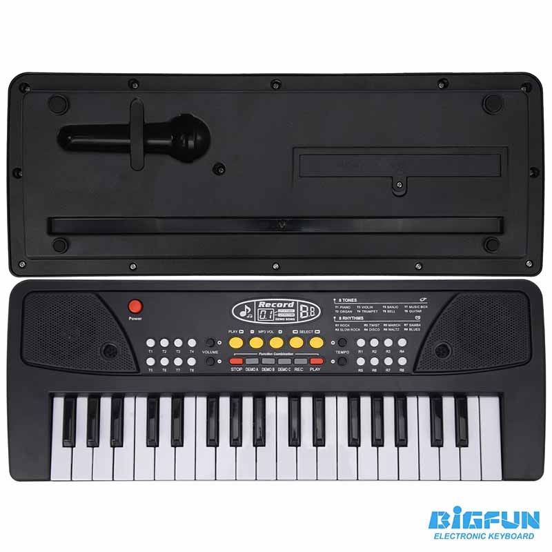 ارگ آموزشی بیگ فان میکروفون‌دار مدل BIGFUN BF-430A2